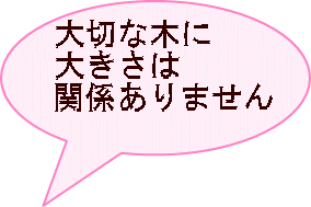 大切な木に 大きさは 関係ありません 