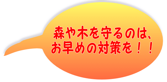 森や木を守るのは、 お早めの対策を！！