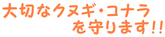 大切なクヌギ・コナラ 　　　　を守ります！！