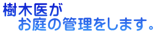 樹木医が 　お庭の管理をします。